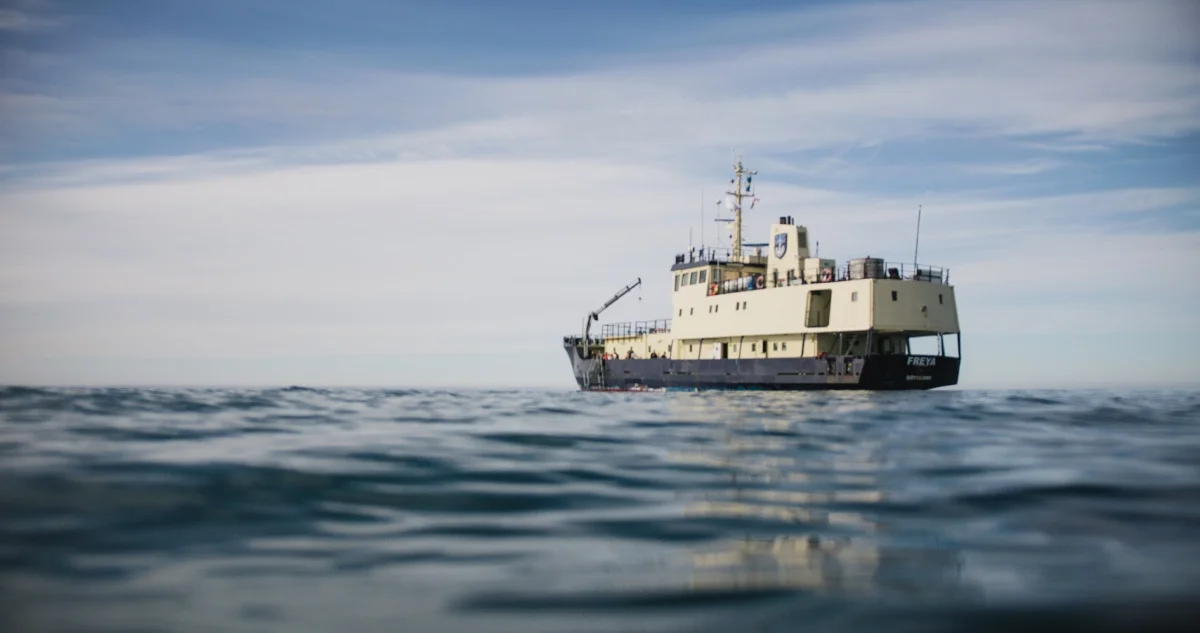 MV Freya | Cruise Ship Arctic MV Freya | Cruise Ship Arctic