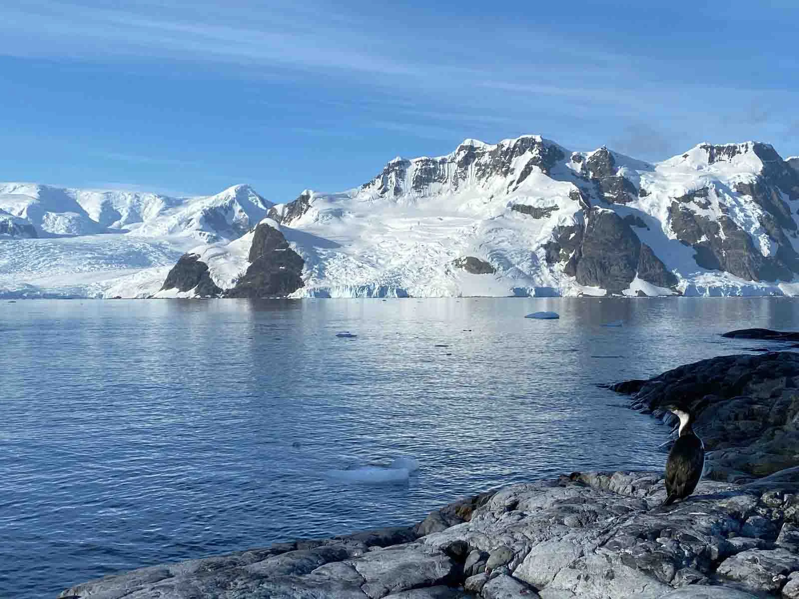  Antarctica | Is Antarctica On Your Travel Bucket List? Find Out if You Can Actually Travel There First