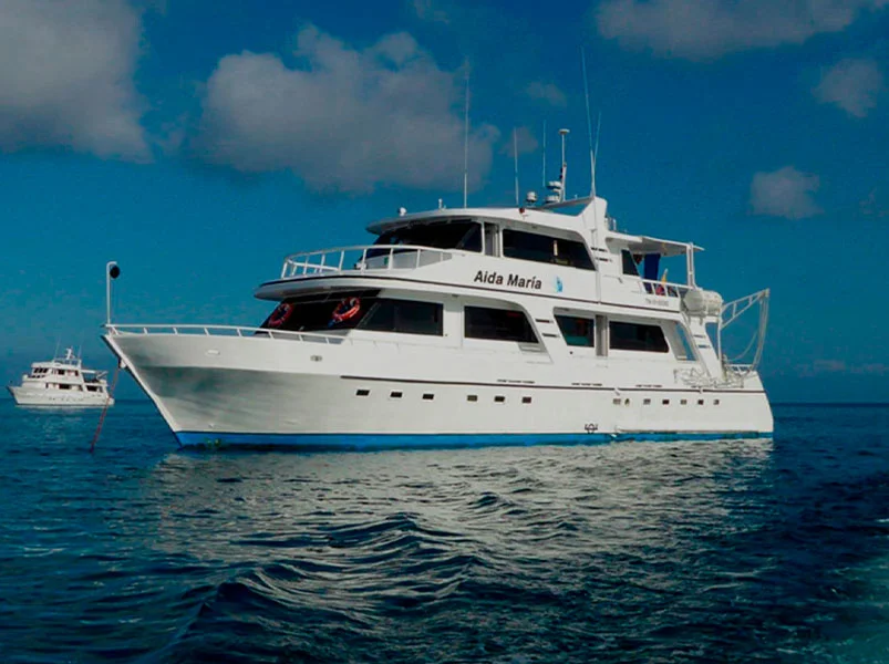 5 day cruising itinerary aboard the Aida Maria in the Galapagos Islands | Aida Maria | Galapagos Tours