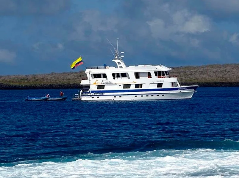 Galapagos 8-Day Naturalist Cruise: Española & Genovesa - Angelito Yacht | Angelito | Galapagos Tours