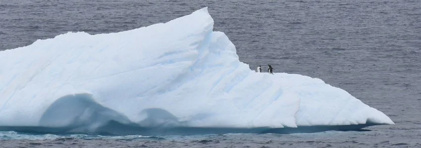 Antarctica Cruises | Discover Antarctica: A Journey to Earth's Last Frontier Antarctica Cruises | Discover Antarctica: A Journey to Earth's Last Frontier
