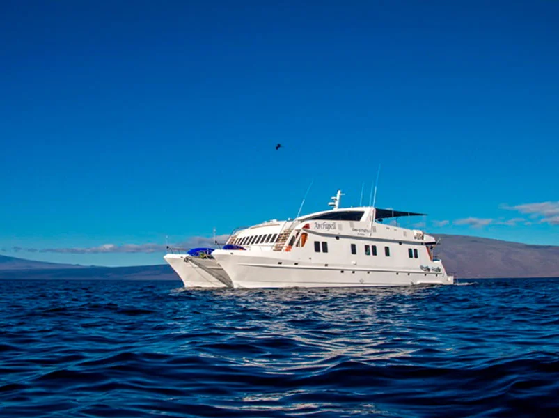 Galapagos Eastern Gems 8-Day: Genovesa & Española - Archipel II Catamaran | Archipel II | Galapagos Tours