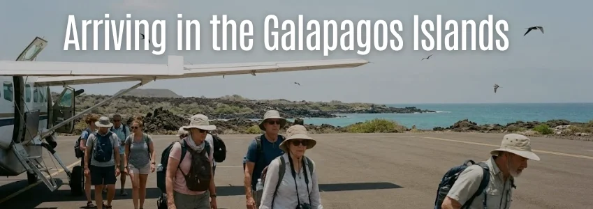 Galapagos | Discover the Extraordinary Galapagos Islands Experience Galapagos | Discover the Extraordinary Galapagos Islands Experience