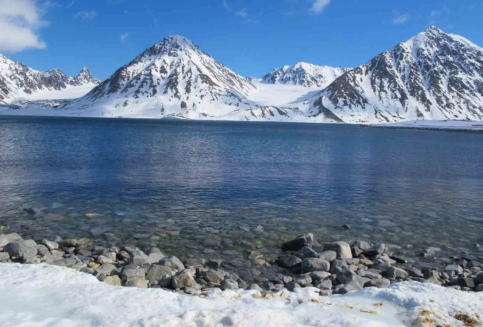 Antarctica | 'Close as one can get to the North Pole': Five things you need to know about cruising Svalbard Antarctica | 'Close as one can get to the North Pole': Five things you need to know about cruising Svalbard