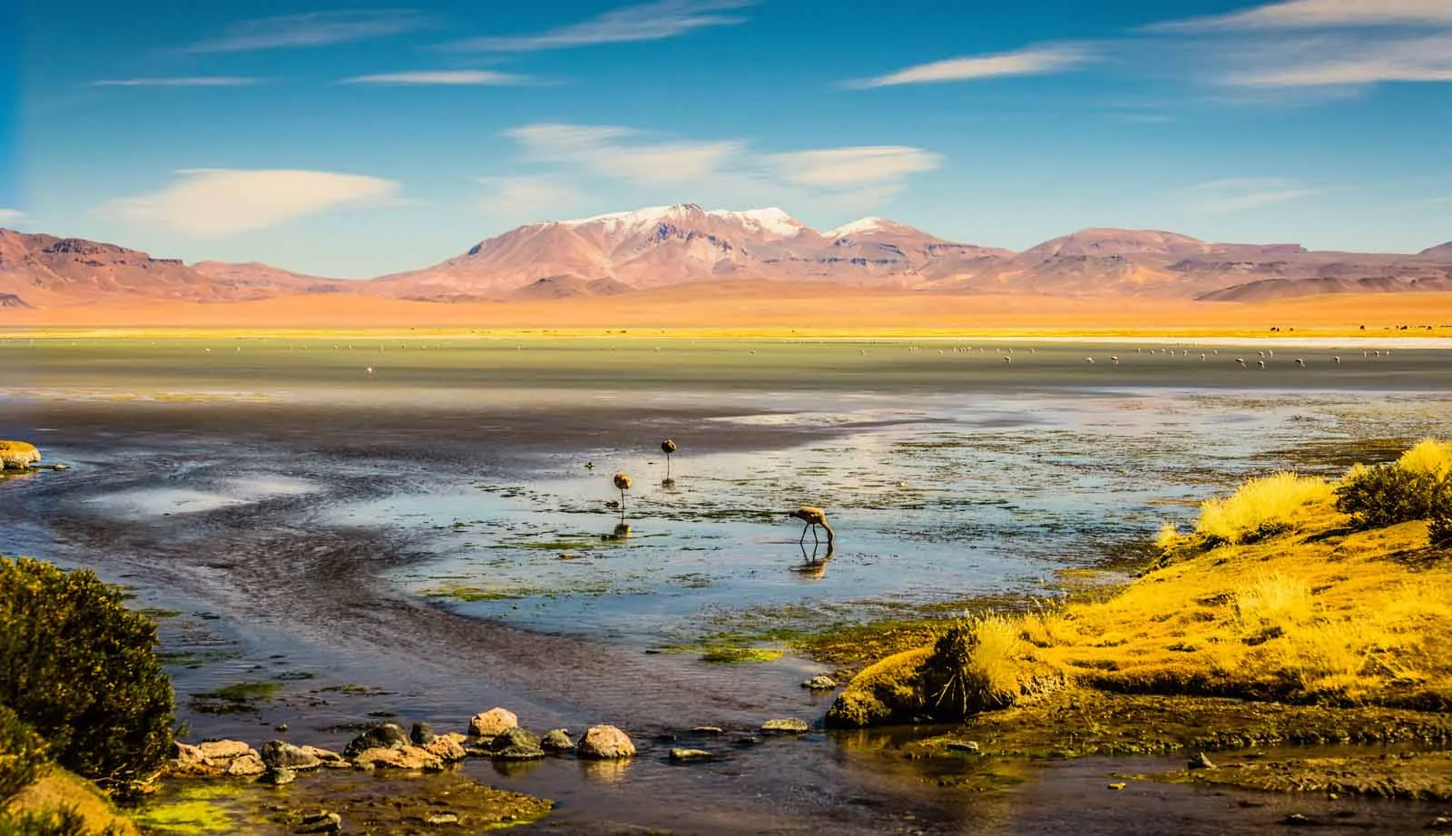  Chile | Luxury Travel & Tours in the Atacama Desert