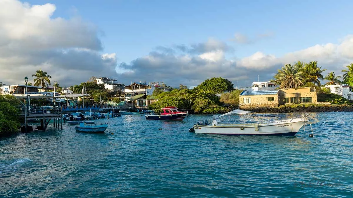 Galapagos | 10 free things to do from Puerto Ayora Galapagos | 10 free things to do from Puerto Ayora