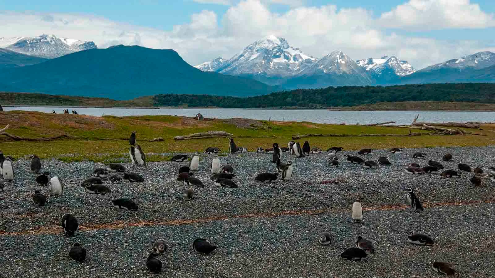  Patagonia | Beagle Channel