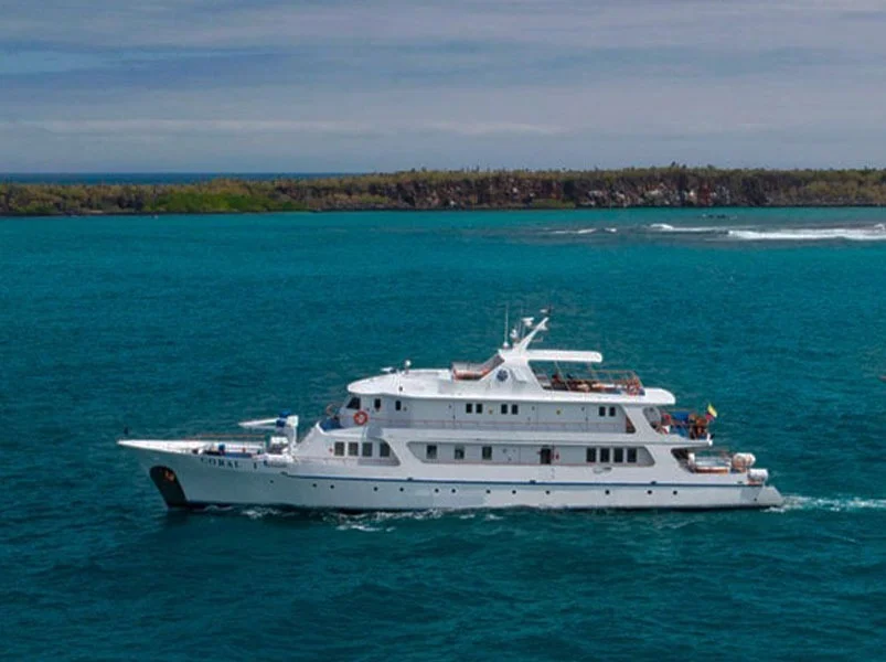 Western Galapagos Loop 5-Day: Isabela - Coral I & II Yacht | Galapagos Cruise Tours Western Galapagos Loop 5-Day: Isabela - Coral I & II Yacht | Galapagos Cruise Tours