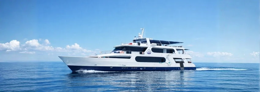 Galapagos | Explore Galapagos: Unforgettable Diving Adventures Galapagos | Explore Galapagos: Unforgettable Diving Adventures