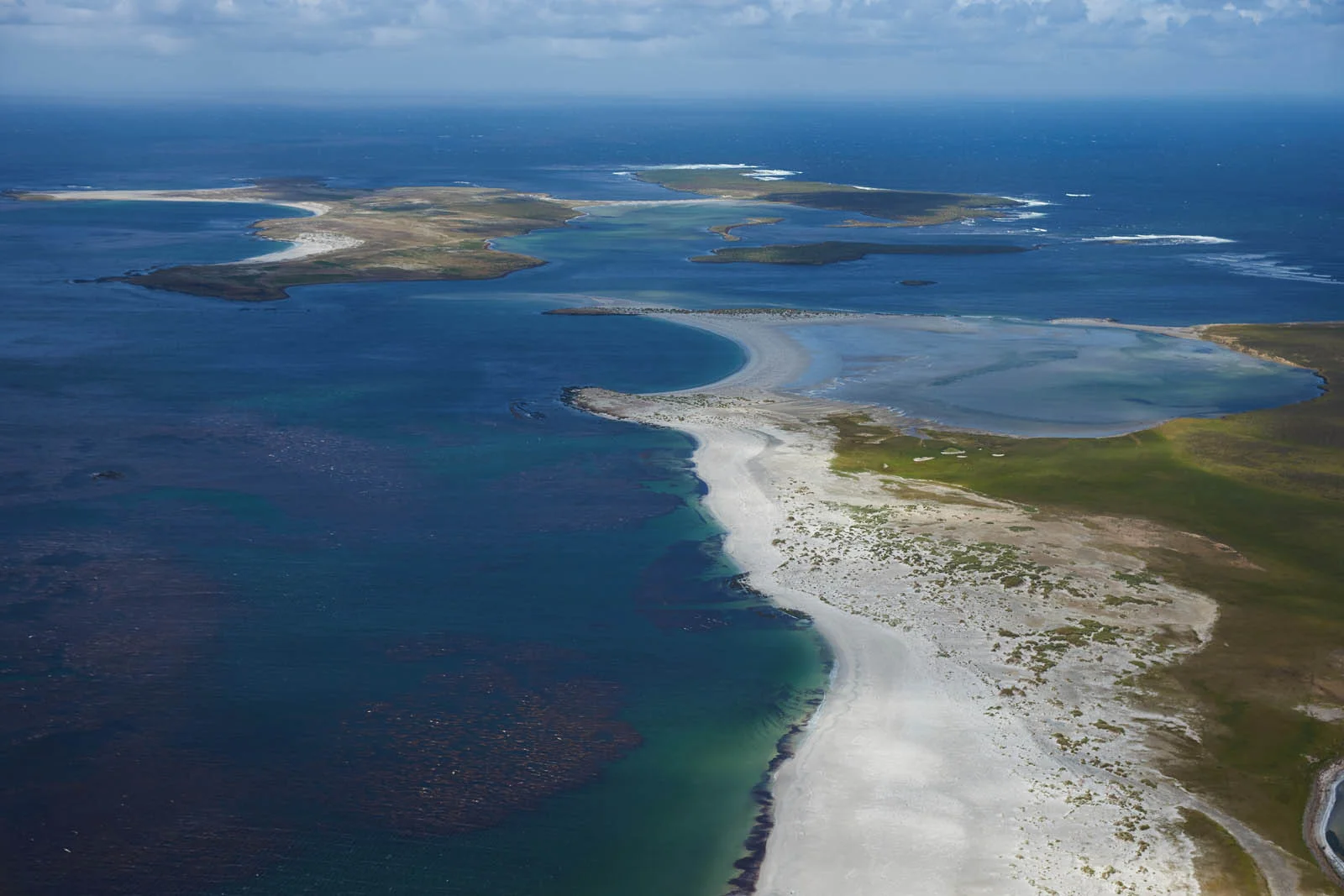  Antarctica | Ultimate Guide For Your Falkland Islands Visit Adventure