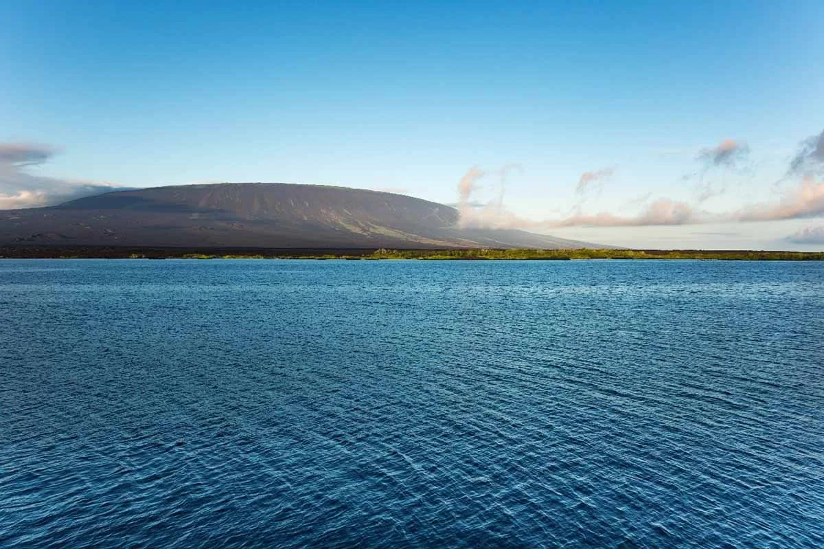  Galapagos | Galapagos Islands: Extinct "fantastic giant tortoise" found alive