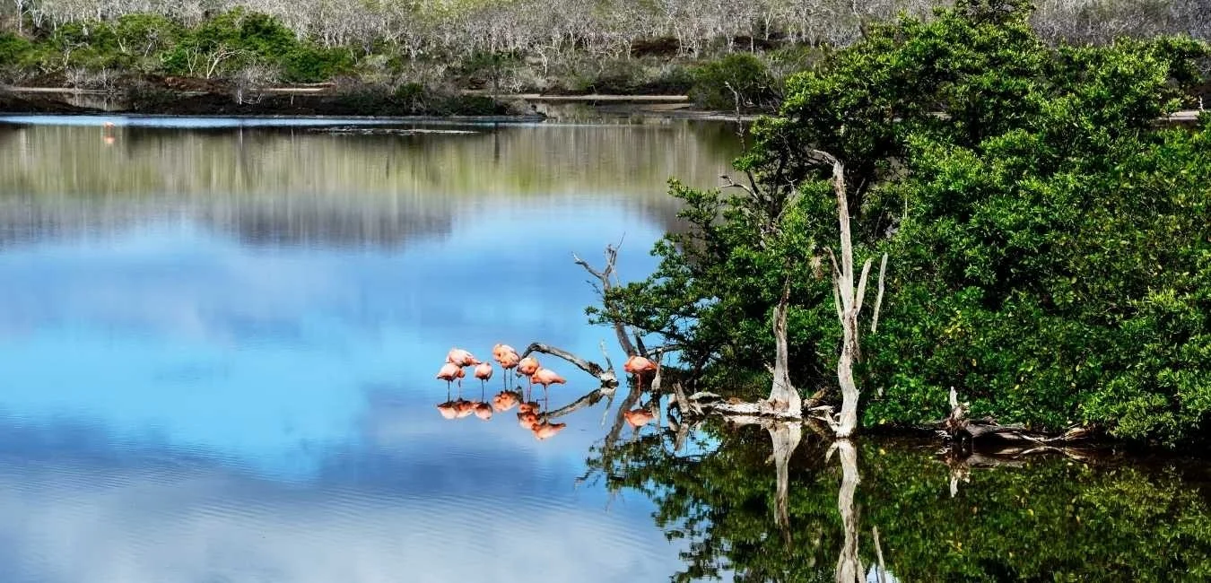 West Galapagos Islands | Galapagos tours