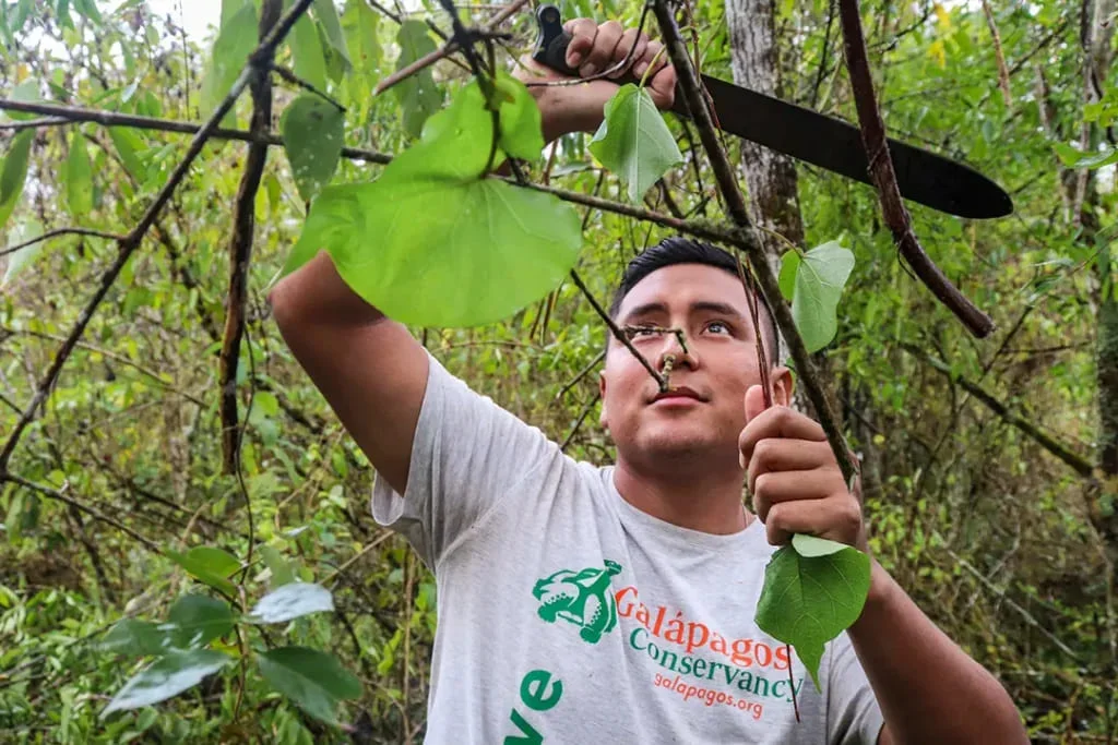  Galapagos | Collaboration in Conserving Isabela Island’s Wildlife