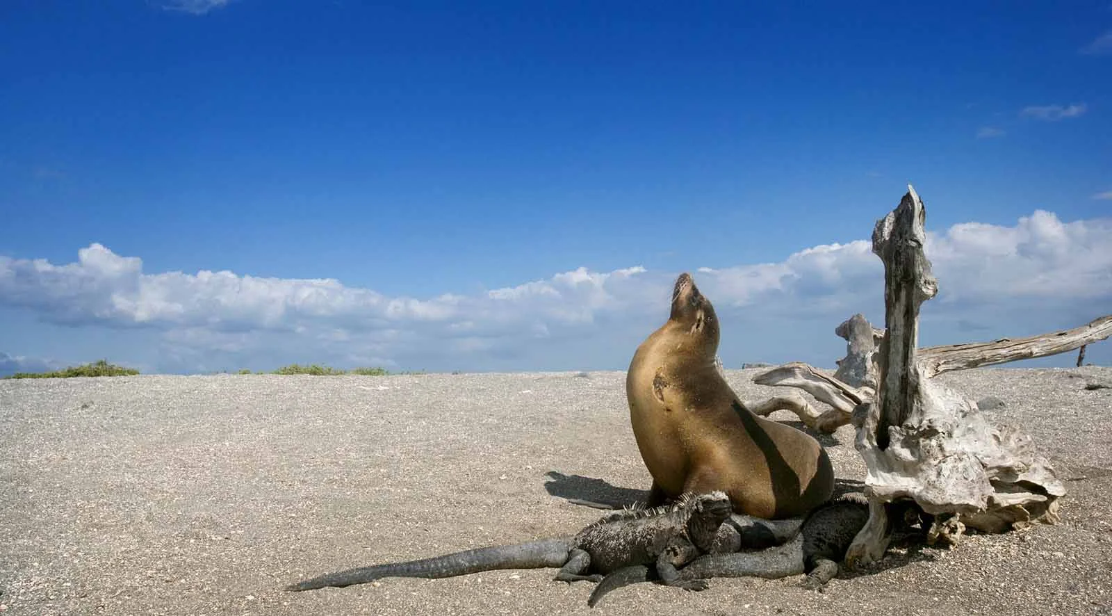  Galapagos | Explore Galapagos Islands: 10 Hidden Gems Off the Beaten Path