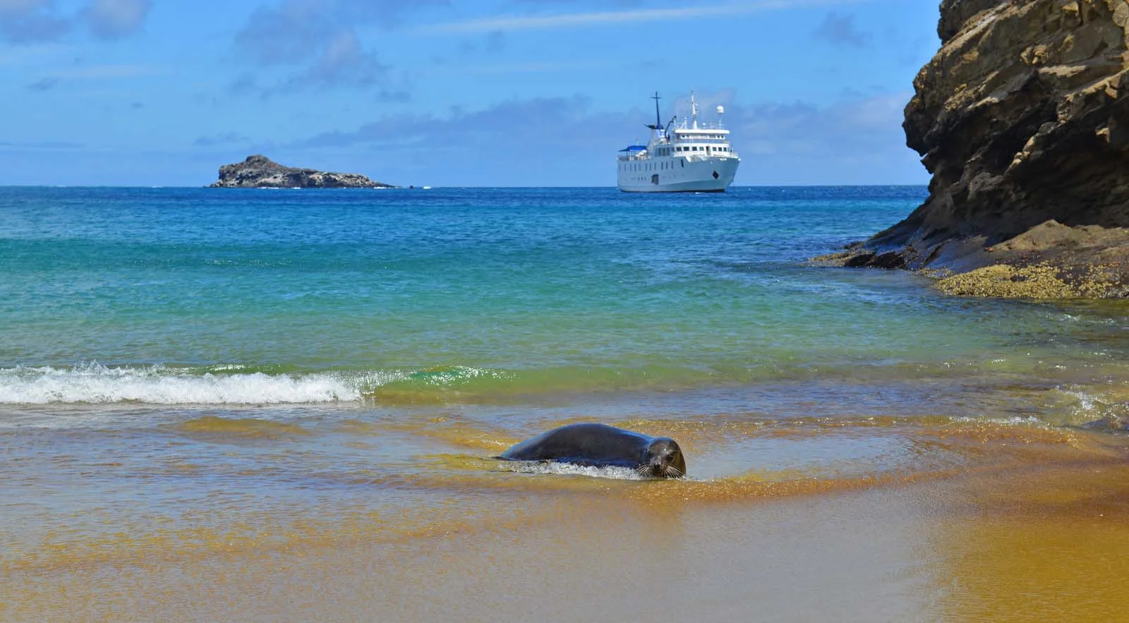  Galapagos | What happened to the Galapagos Islands to create the diversity found there?