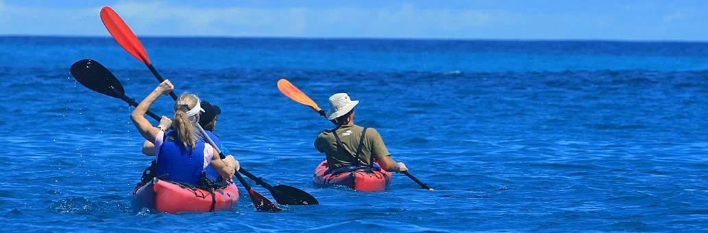  Galapagos | The seasoned travellers guide to enjoying the Galapagos in luxury