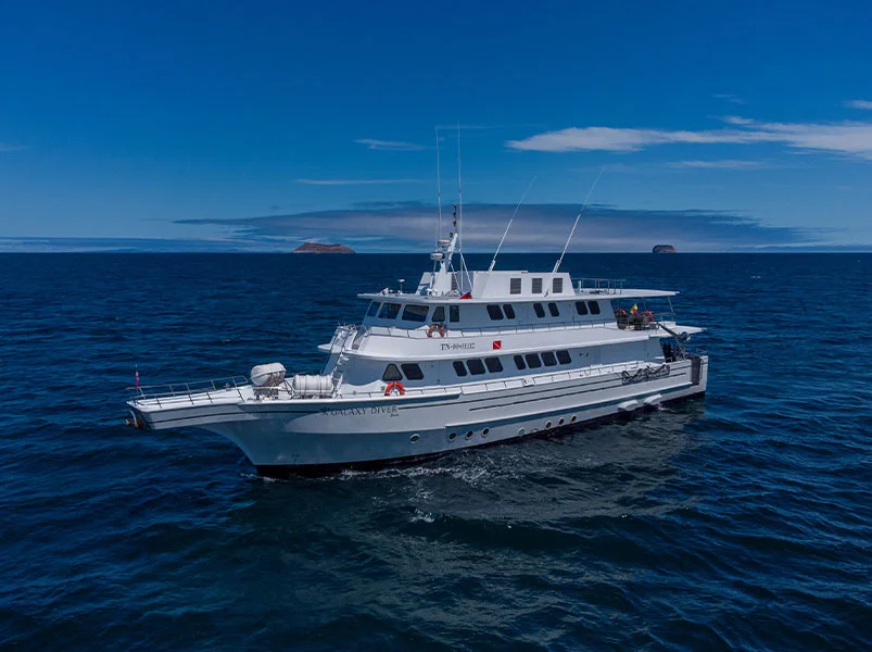 Diving Itinerary - Galaxy Diver Yacht | Galaxy Diver | Galapagos Tours