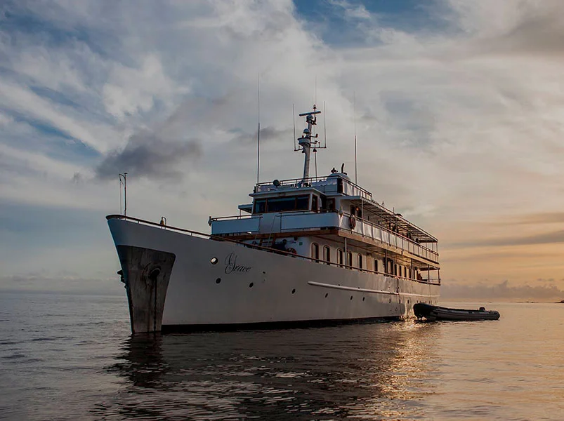 Galapagos East: 8-Day Cruise from San Cristóbal - Grace Yacht | Grace | Galapagos Tours