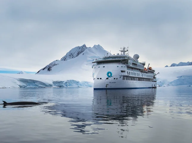 Across the Antarctic Circle | Greg Mortimer | Antarctica Tours