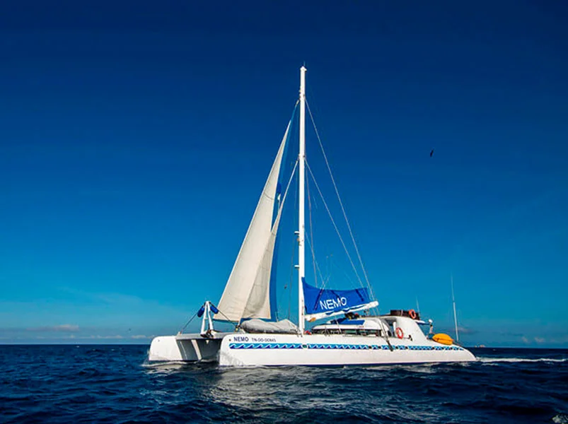 Galápagos Western 4-Day Cruise - Nemo I Catamaran | Nemo I | Galapagos Tours