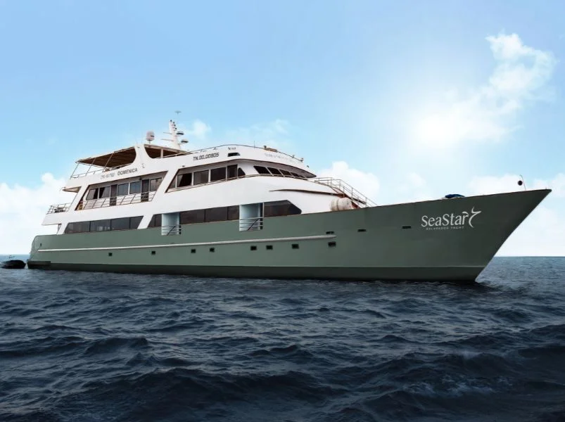 Galapagos adventure tour provided by Voyagers Travel - Sea Star Journey Yacht | Galapagos Cruise Tours Galapagos adventure tour provided by Voyagers Travel - Sea Star Journey Yacht | Galapagos Cruise Tours