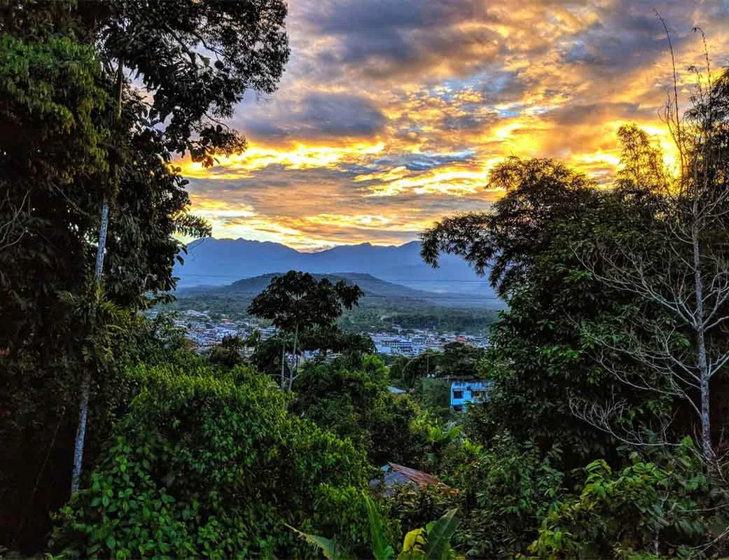 Nature Encounters | Tena your getaway to the Ecuador Amazon rainforest Nature Encounters | Tena your getaway to the Ecuador Amazon rainforest