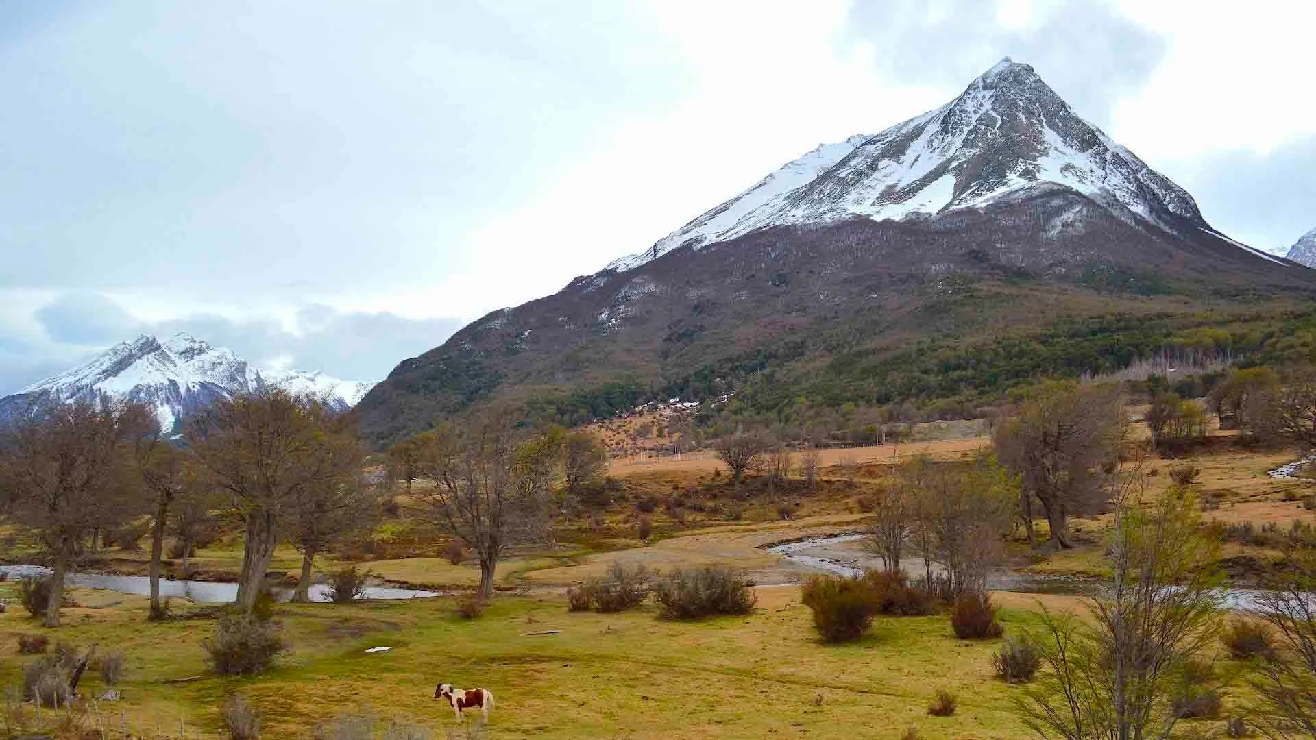  Patagonia | Tierra del Fuego National Park