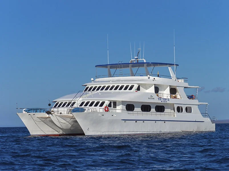 Enchanted Isles Northern Route 8-Day Cruise - Tip Top II Catamaran | Tip Top II | Galapagos Tours