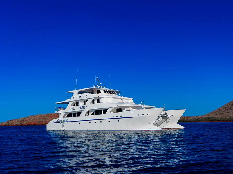 Enchanted Islands Eastern 8-Day Cruise - Tip Top V Catamaran | Tip Top V | Galapagos Tours