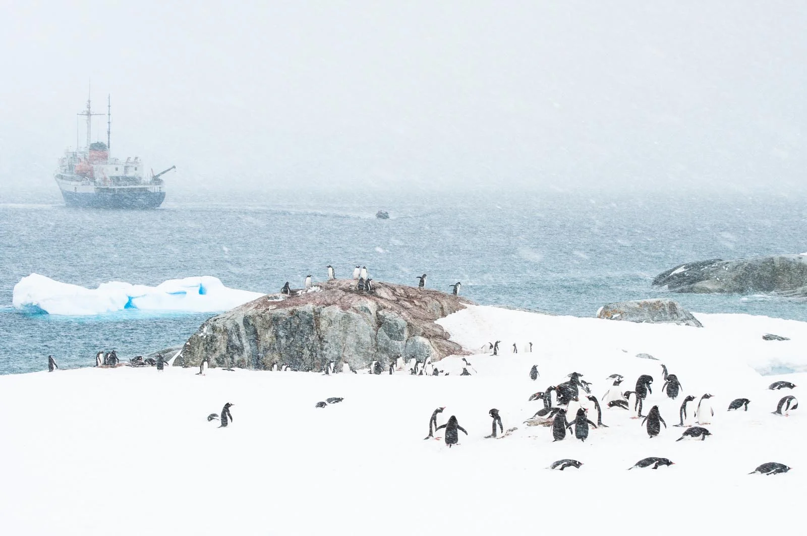  Antarctica | 15 Places to Visit in Antarctica You Can’t Afford to Miss