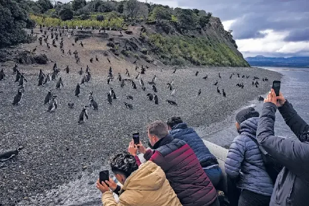 Antarctica | Crowd at the ‘end of the world’ Antarctica | Crowd at the ‘end of the world’