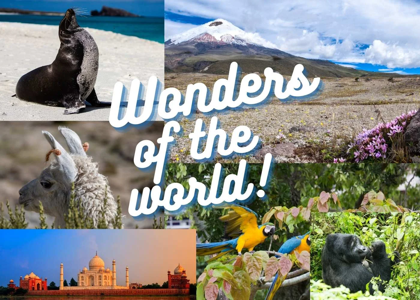 Ecuador | The World’s Most Biodiverse Countries and Why They Matter Ecuador | The World’s Most Biodiverse Countries and Why They Matter