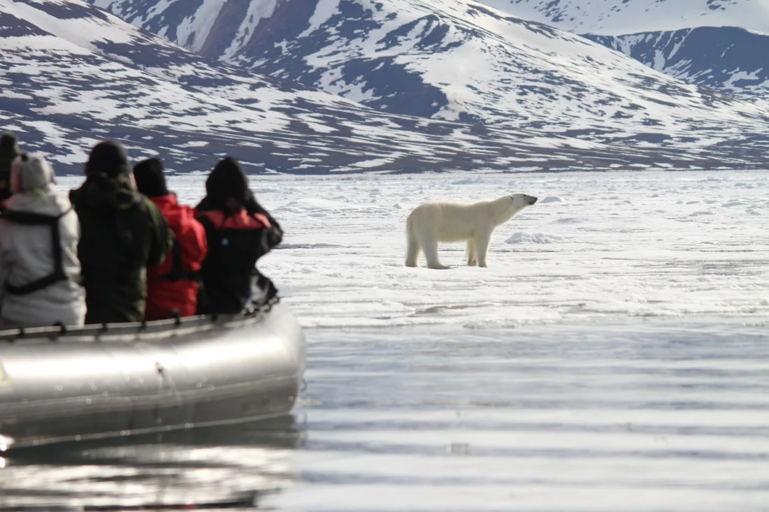  Antarctica | Arctic or Antarctic: which one should you see first?