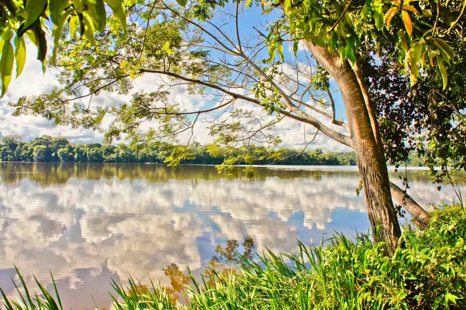  Peru | Tambopata National Reserve: Peru Gateway to the Amazon