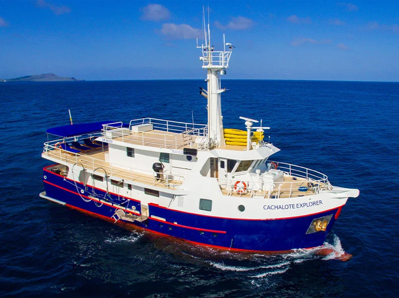 The Fernandina Itinerary 8 Days - Cachalote Explorer Yacht | Cachalote Explorer | Galapagos Tours