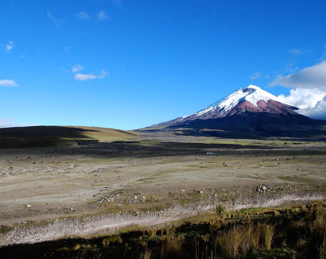  Ecuador | Fun Facts About Ecuador: From the Galápagos to the Andes