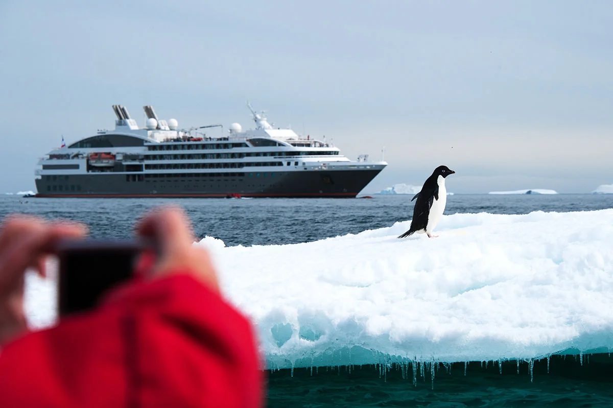  Antarctica | Antarctic Peninsula Cruises and Expeditions Guide