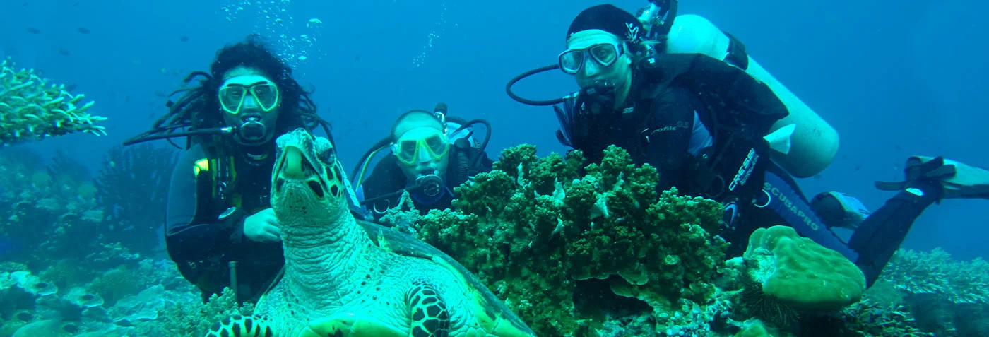  Nature Encounters | Eight Tips for Diving in the Galapagos Islands