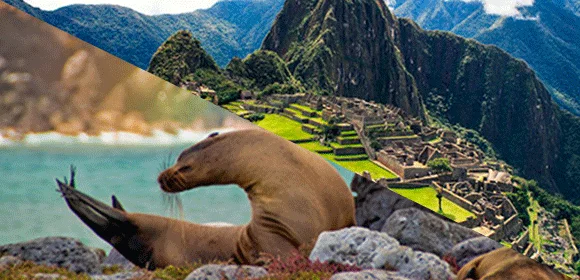 Peru | Best Time to Travel to Machu Picchu and Galapagos Peru | Best Time to Travel to Machu Picchu and Galapagos