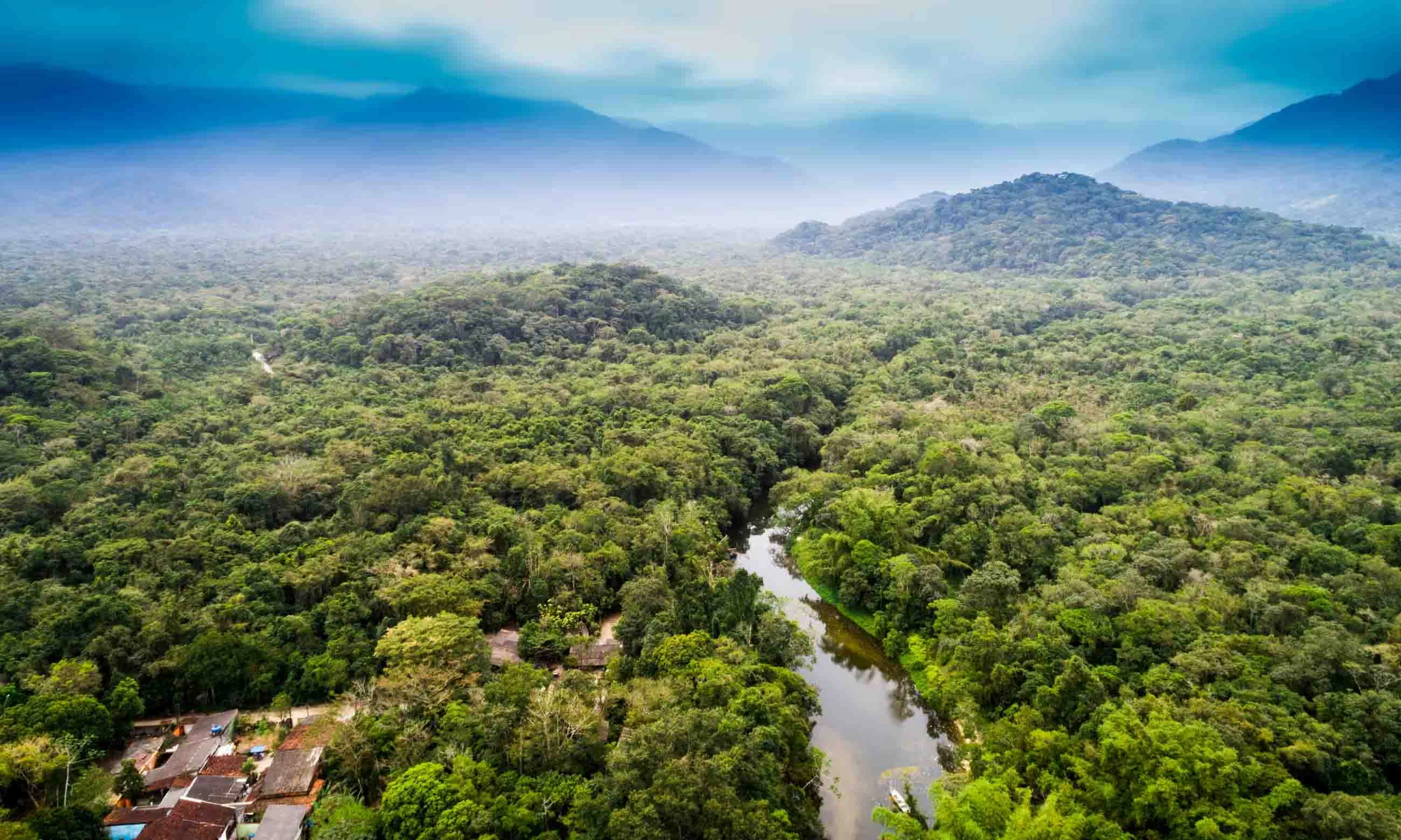  Peru | Into the Peruvian Amazon: ‘I’m going to show you good things. Let’s start with an anaconda’