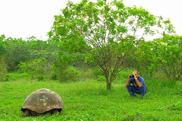 Galapagos Island Vegetation Zones | Galapagos Islands | Galapagos Cruises