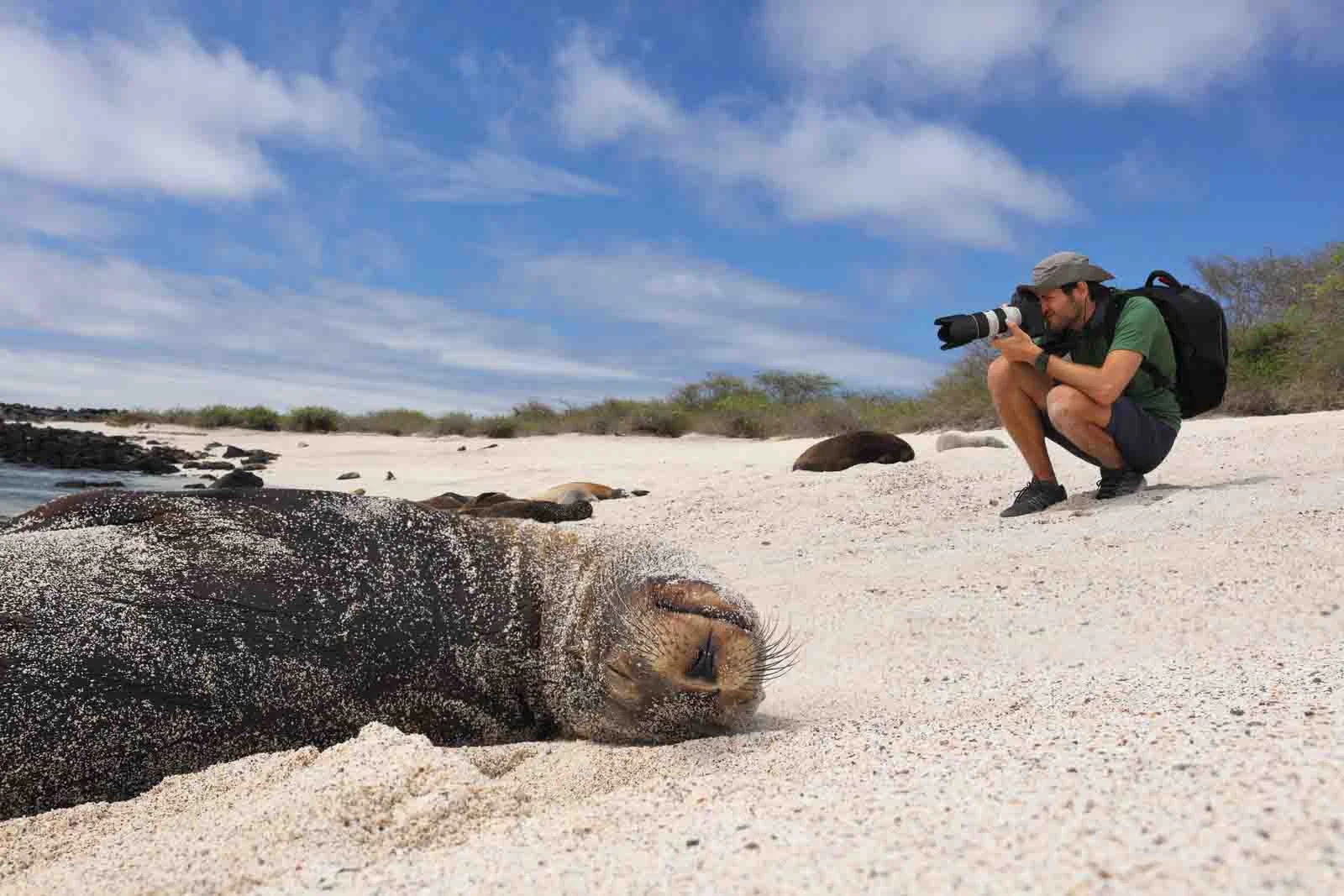  Galapagos | Animals that love to subathe during winters