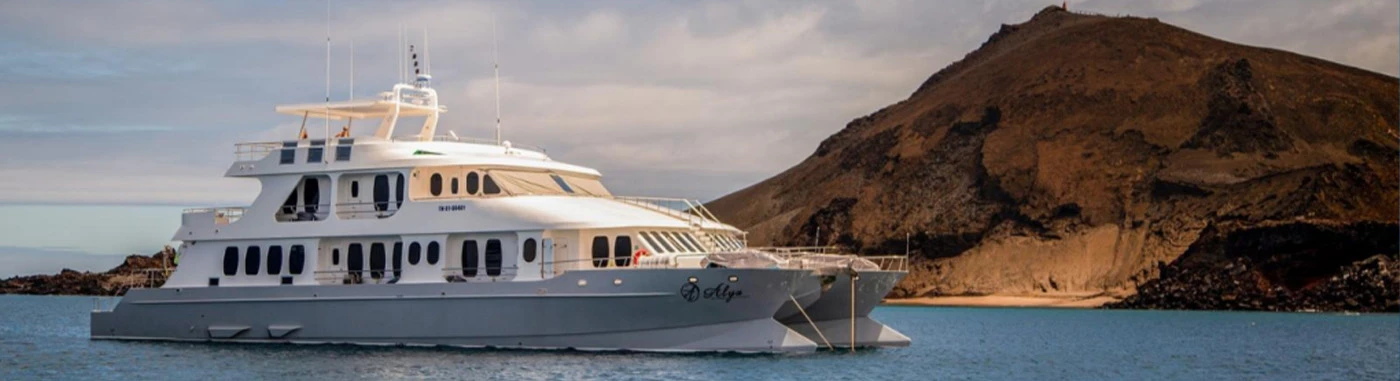 Galapagos Islands 6 day liveaboard tour West islands Alya Catamaran | Galapagos Cruise Tours Galapagos Islands 6 day liveaboard tour West islands Alya Catamaran | Galapagos Cruise Tours