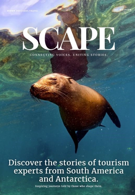 Scape Connecting Voices, Uniting Stories, Magazine Scape Connecting Voices, Uniting Stories, Magazine