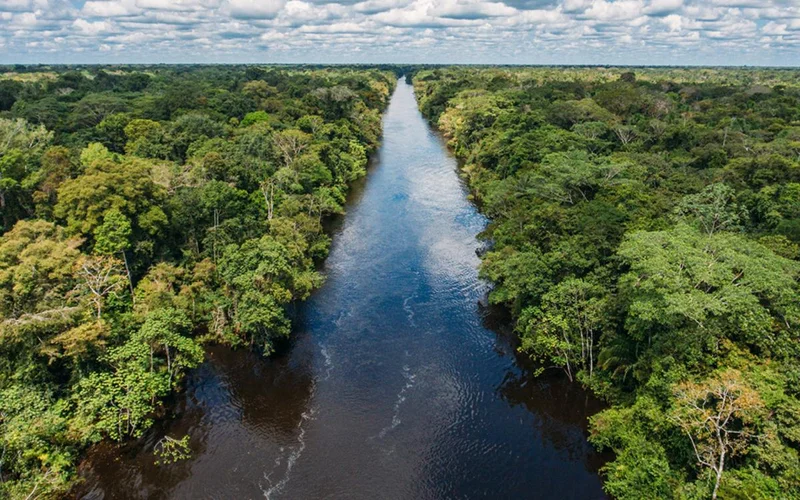 Amazon River Expeditions Are Becoming the Next Big Journey for Remote Travel Seekers Amazon River Expeditions Are Becoming the Next Big Journey for Remote Travel Seekers