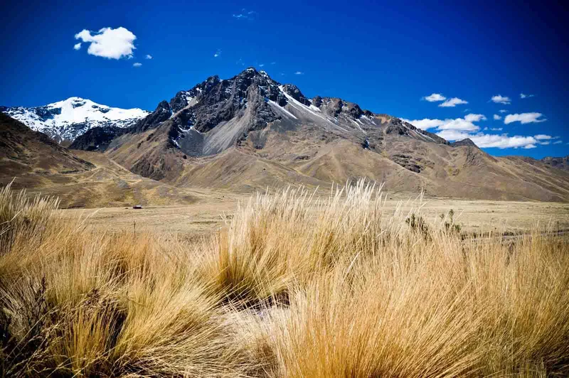 Exploring The Majestic Andes Mountains: Facts And Adventure