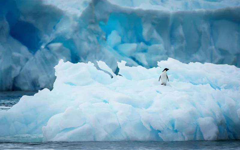 Antarctica 2026 Is Already Becoming a Tight Booking Game Antarctica 2026 Is Already Becoming a Tight Booking Game