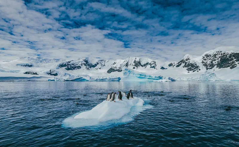 Exploring the Top Ten Antarctica Attractions for Travelers 