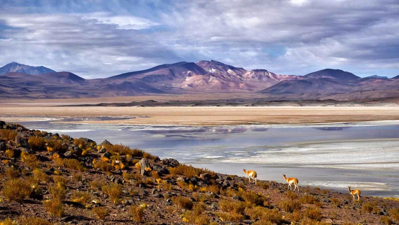 Best time of the year for a luxury getaway to the Atacama Desert, the driest in the world