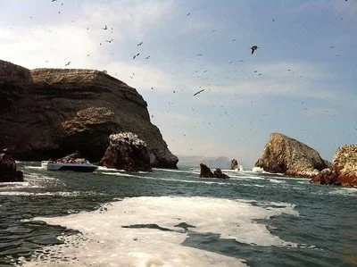 Ballestas Islands | Peru